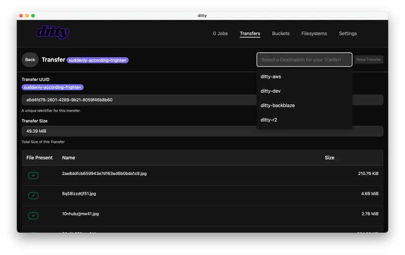 A picture of the software performing a file transfer